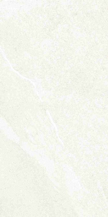 Dhara White Matte 12 x 24